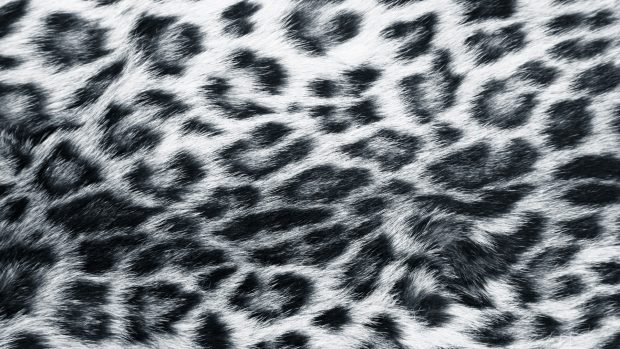 Animal print backgrounds for twitter.