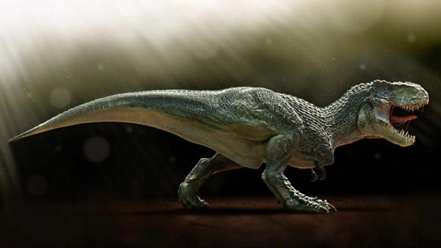 Animals dinosaurs hd wallpapers.