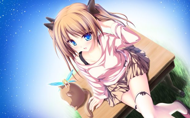 Anime Girl with Cat and Fairy HD Wallpaper.