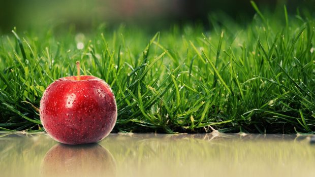 Apple Desktop Grass HD Wallpapers.