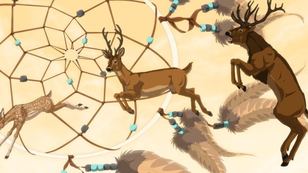 Art dream catcher feathers deer animals horn hd wallpaper.