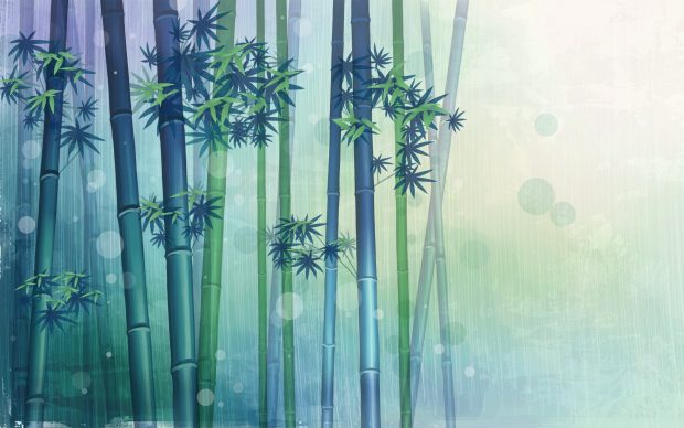 Bamboo Wallpaper HD Photos Desktop.