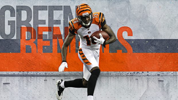 Bengals Wallpapers HD.