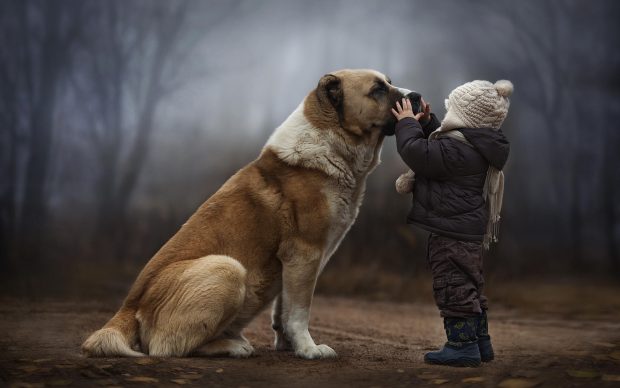 Best Friends Forever HD Image.