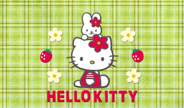 Best Hello Kitty Photos.