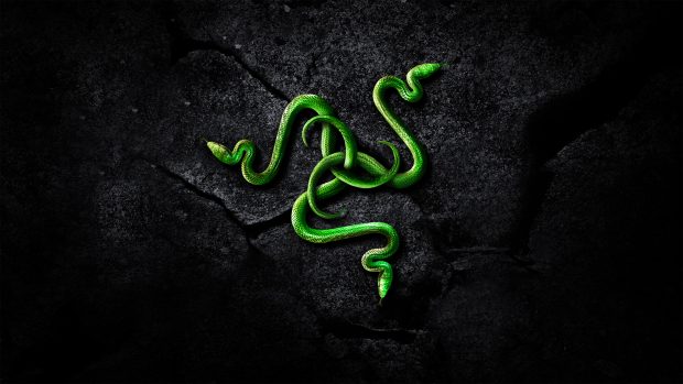 Best Razer Backgrounds.