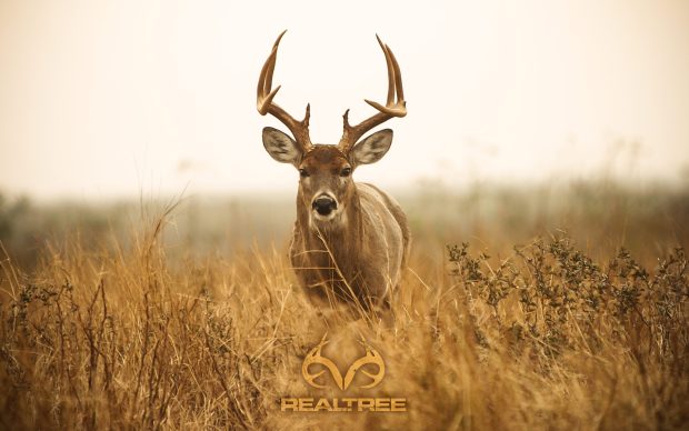Best Realtree Images Download.