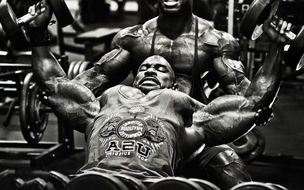 Bodybuilding HD Background.