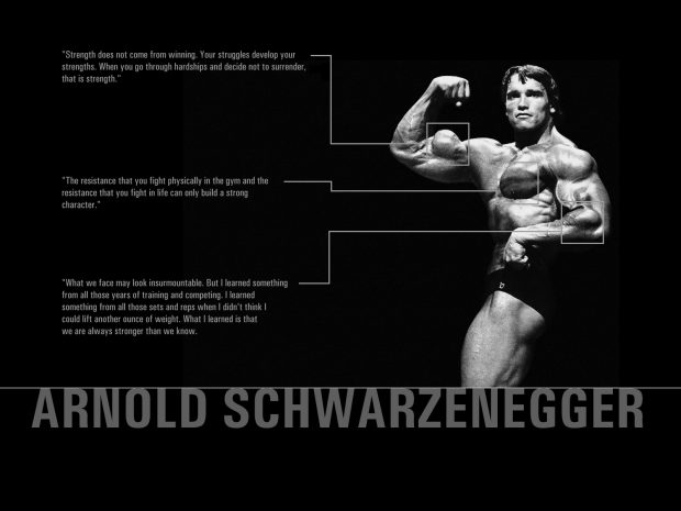 Bodybuilding HD Wallpaper.