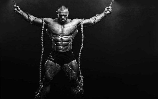 Bodybuilding Wallpaper Free Download.