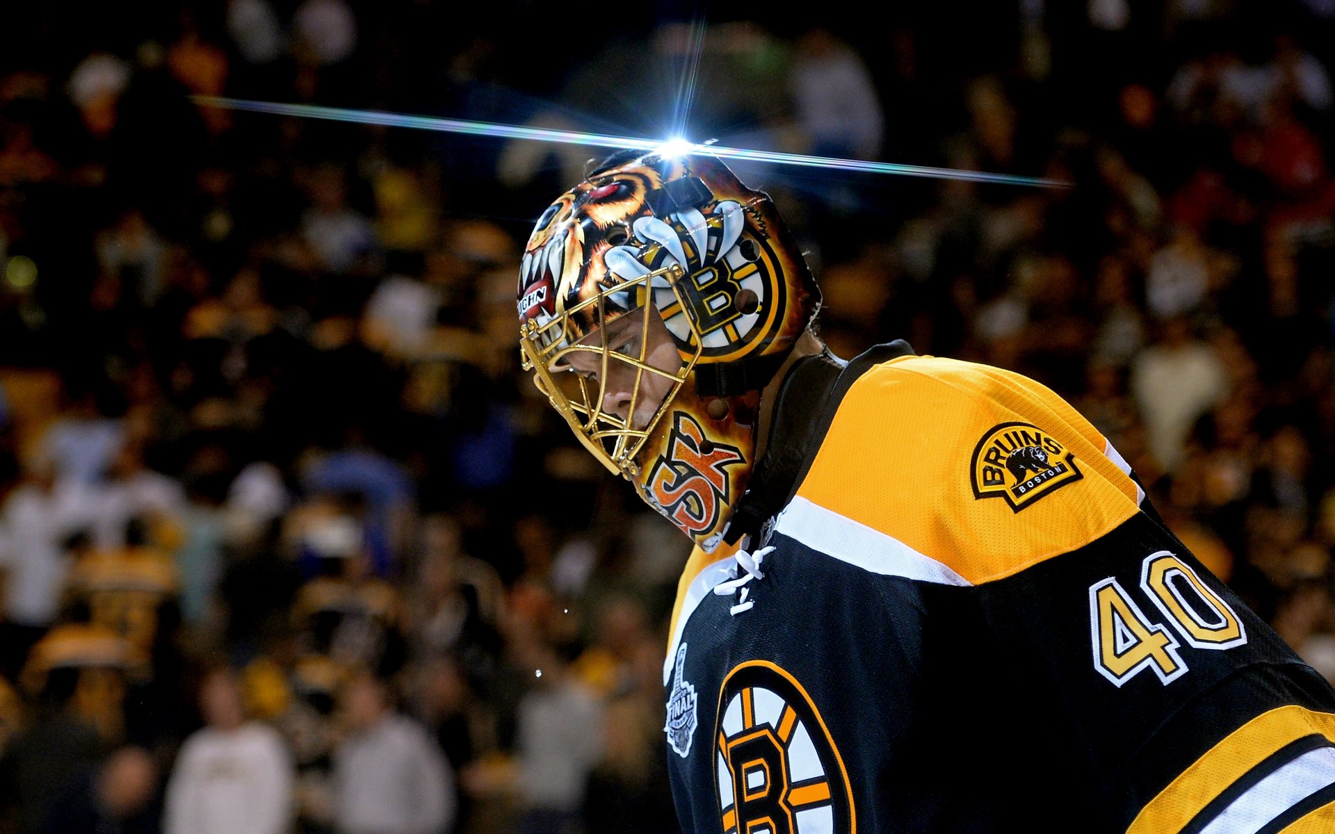 Boston Bruins Wallpapers Free Download | PixelsTalk.Net