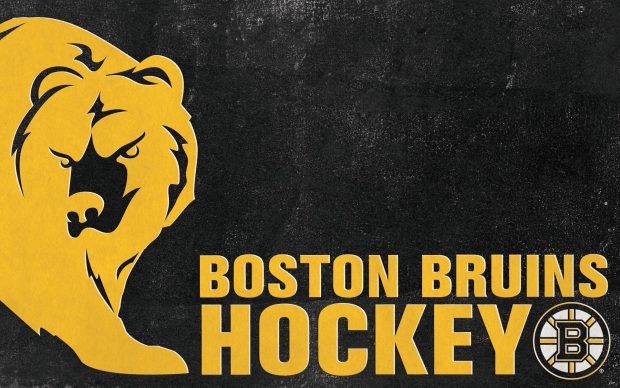 Boston Bruins HD Wallpaper.