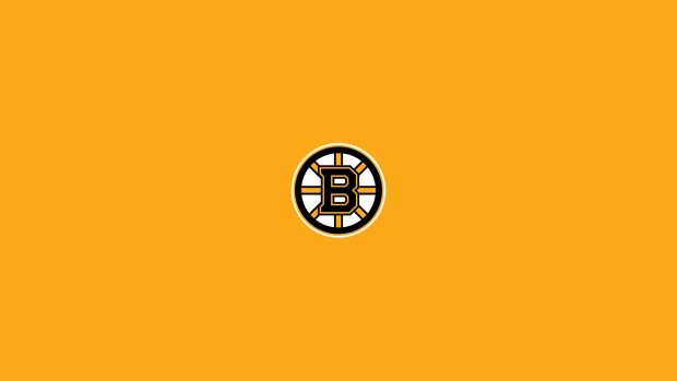Boston Bruins Logo Background.
