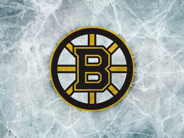 Boston Bruins Logo HD Wallpapers.