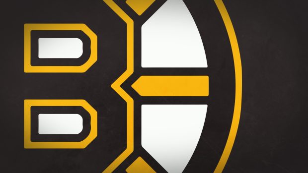 Boston Bruins Logo Image.