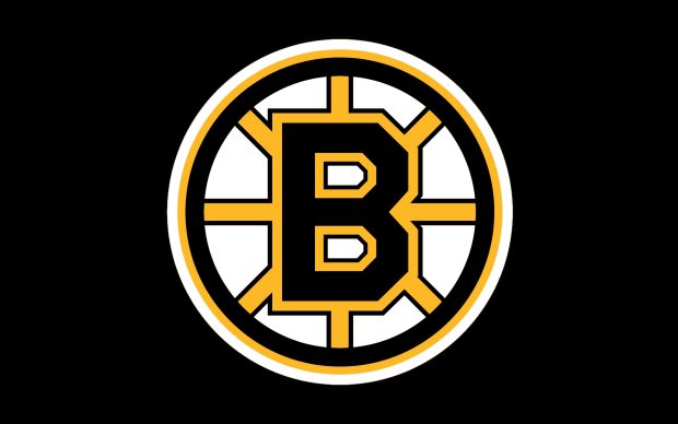 Boston Bruins Logo Image HD.