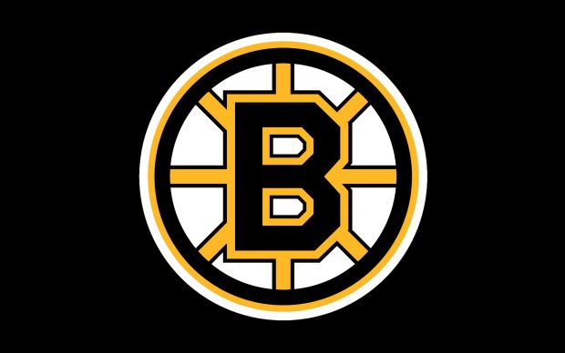 Boston Bruins Logo Image HD.