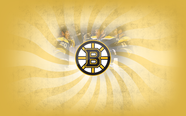 Boston Bruins Logo Photos.