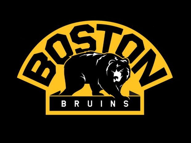 Boston Bruins Photo HD.