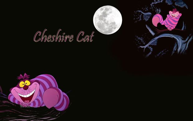 Cheshire Cat HD Photos.