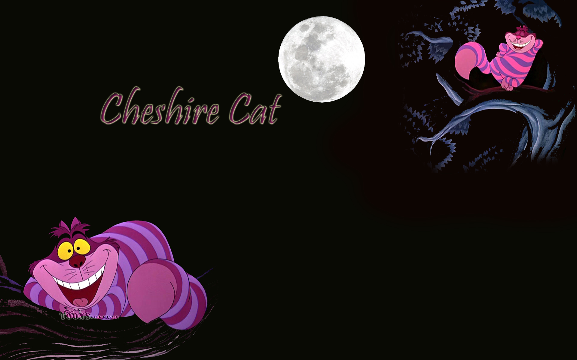 Cheshire Cat iPhone Disney Cheshire Cat HD phone wallpaper  Pxfuel