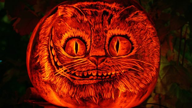 Cheshire Cat Image HD.