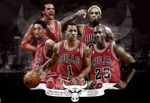 Chicago Bulls Backgrounds HD.