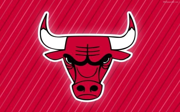 Chicago Bulls Logo Backgrounds
