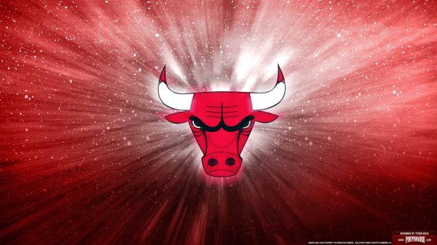 Chicago Bulls Logo New HD 4