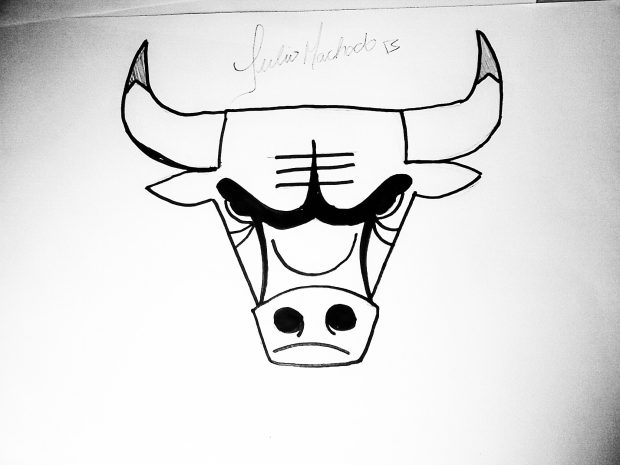 Chicago Bulls Logo New HD 5