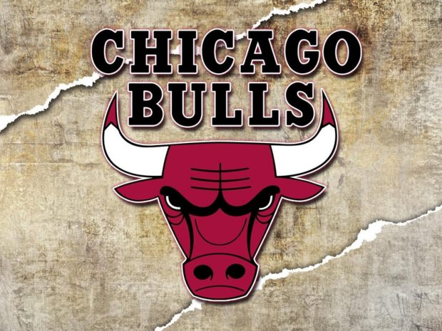 Chicago Bulls Logo New HD Wallpapers 6