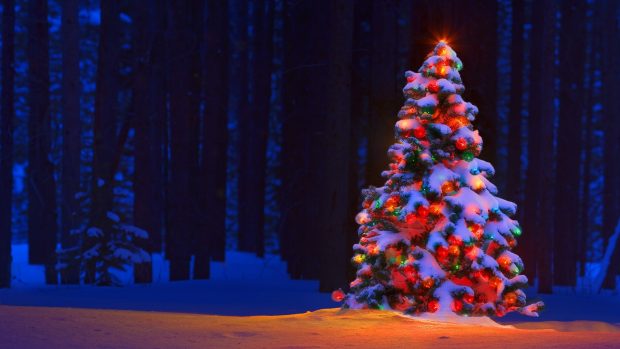 Christmas Lights Tree Desktop Backgrounds.