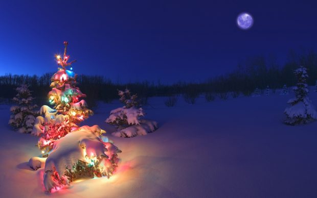 Christmas tree lights snow wallpaper hd.