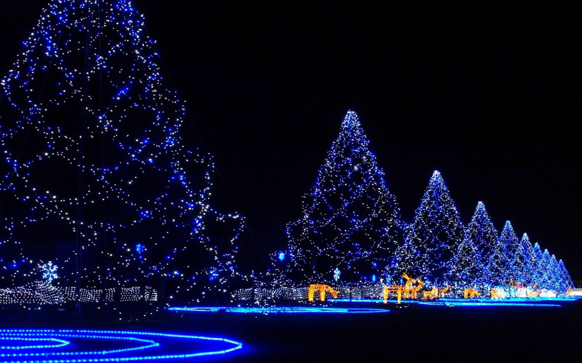 Christmas Lights Backgrounds | Wallpapers, Backgrounds, Images, Art Photos.