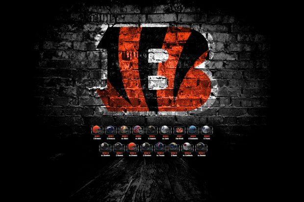 Cincinnati Bengals HD Wallpaper.