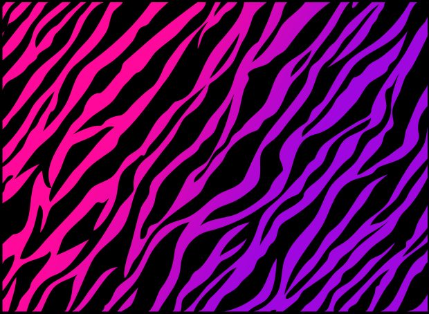 Colorful zebra print genovic photos.