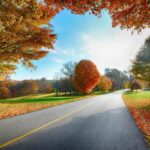 Country Road Autumn Desktop Photos.