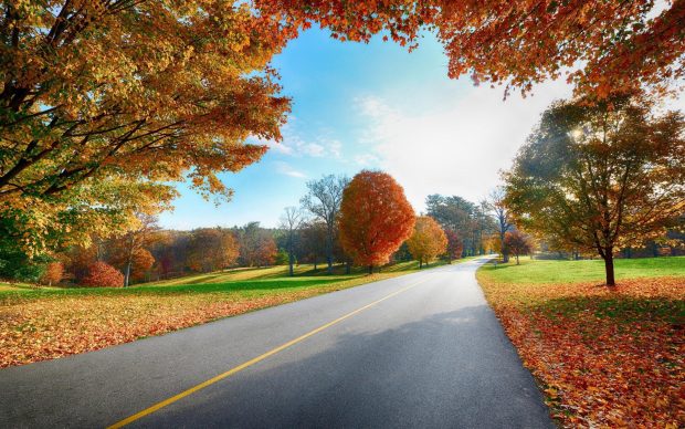 Country Road Fall Leaves Desktop Photos.