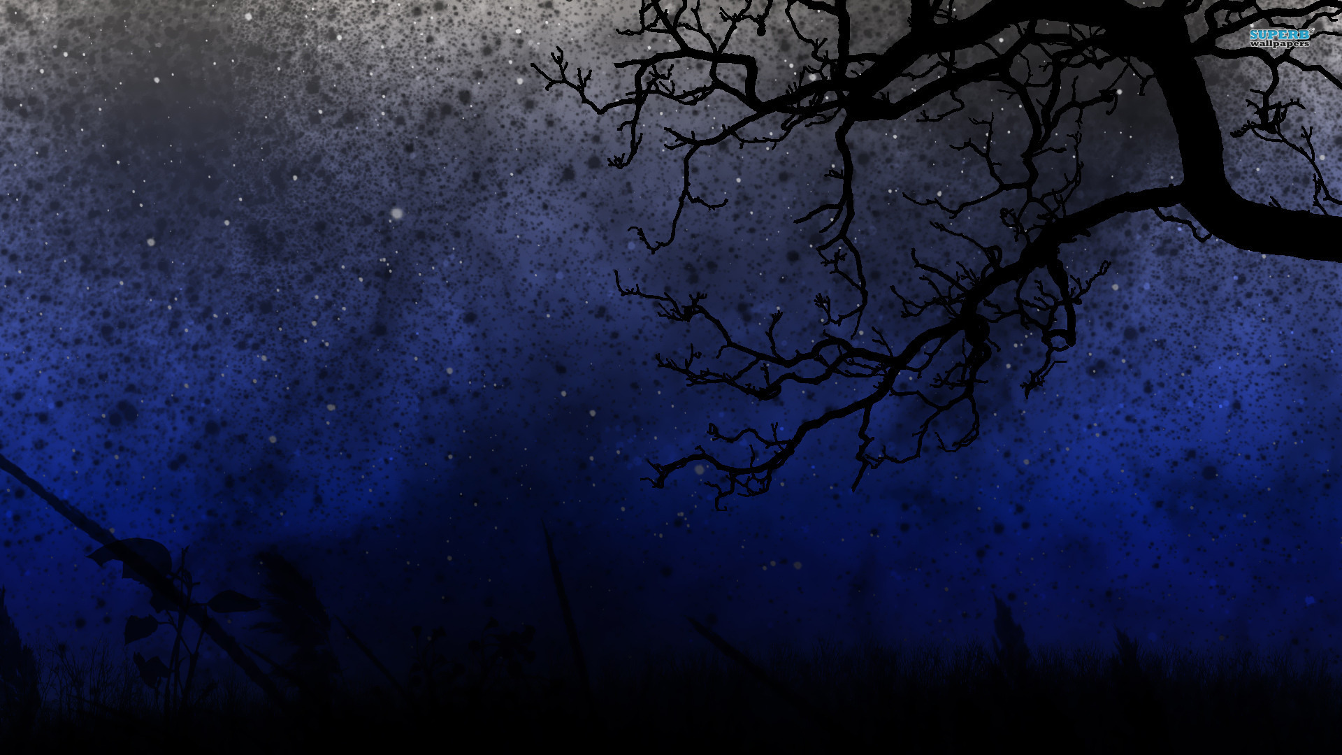 Free HD Starry Night Wallpapers - PixelsTalk.Net