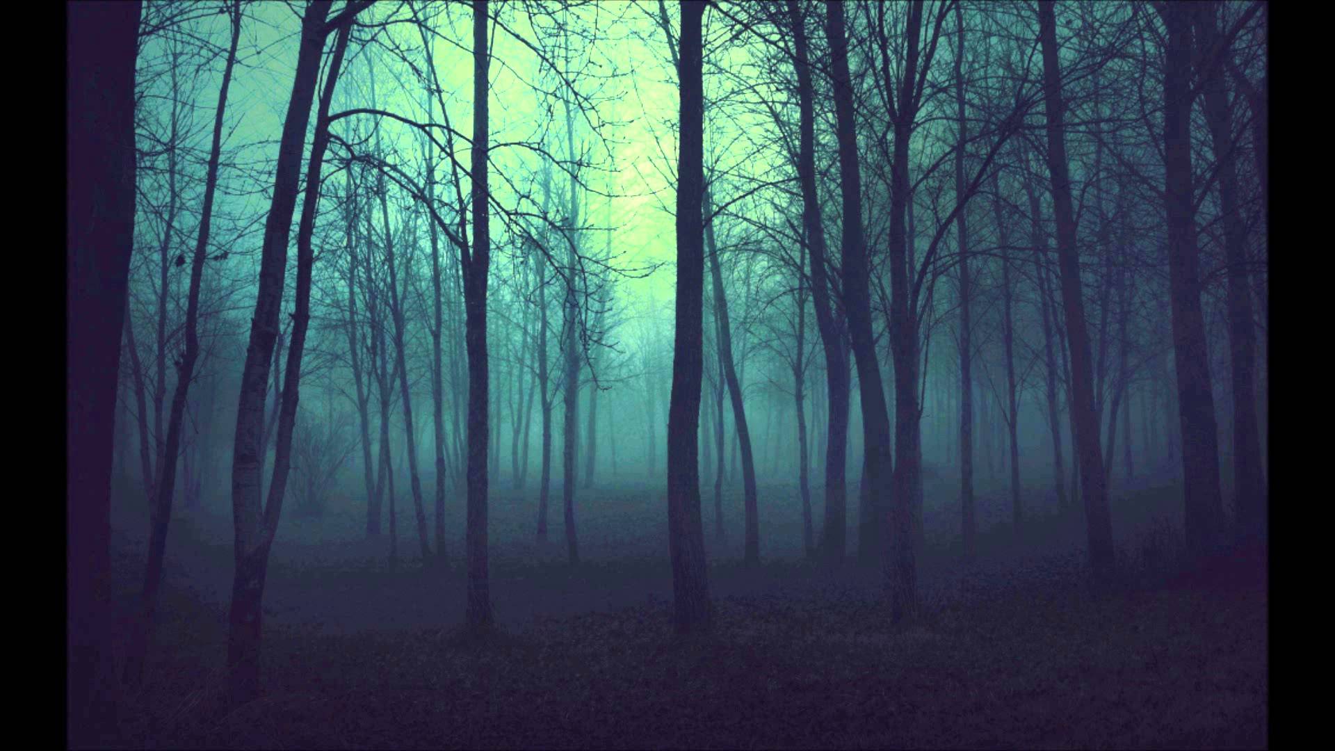 Dark Woods Background Download Free.
