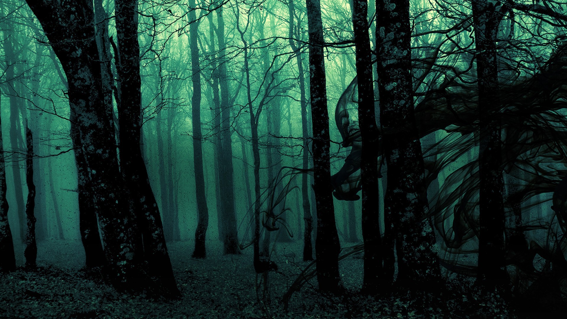Dark Woods Desktop Backgrounds.