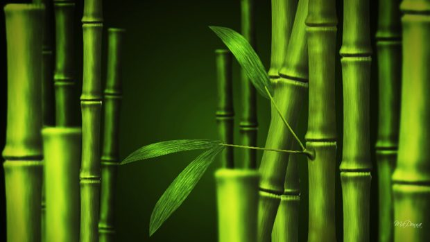 Desktop Bamboo HD Wallpapers.