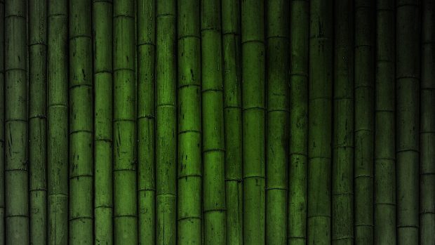 Desktop HD Bamboo Backgrounds.