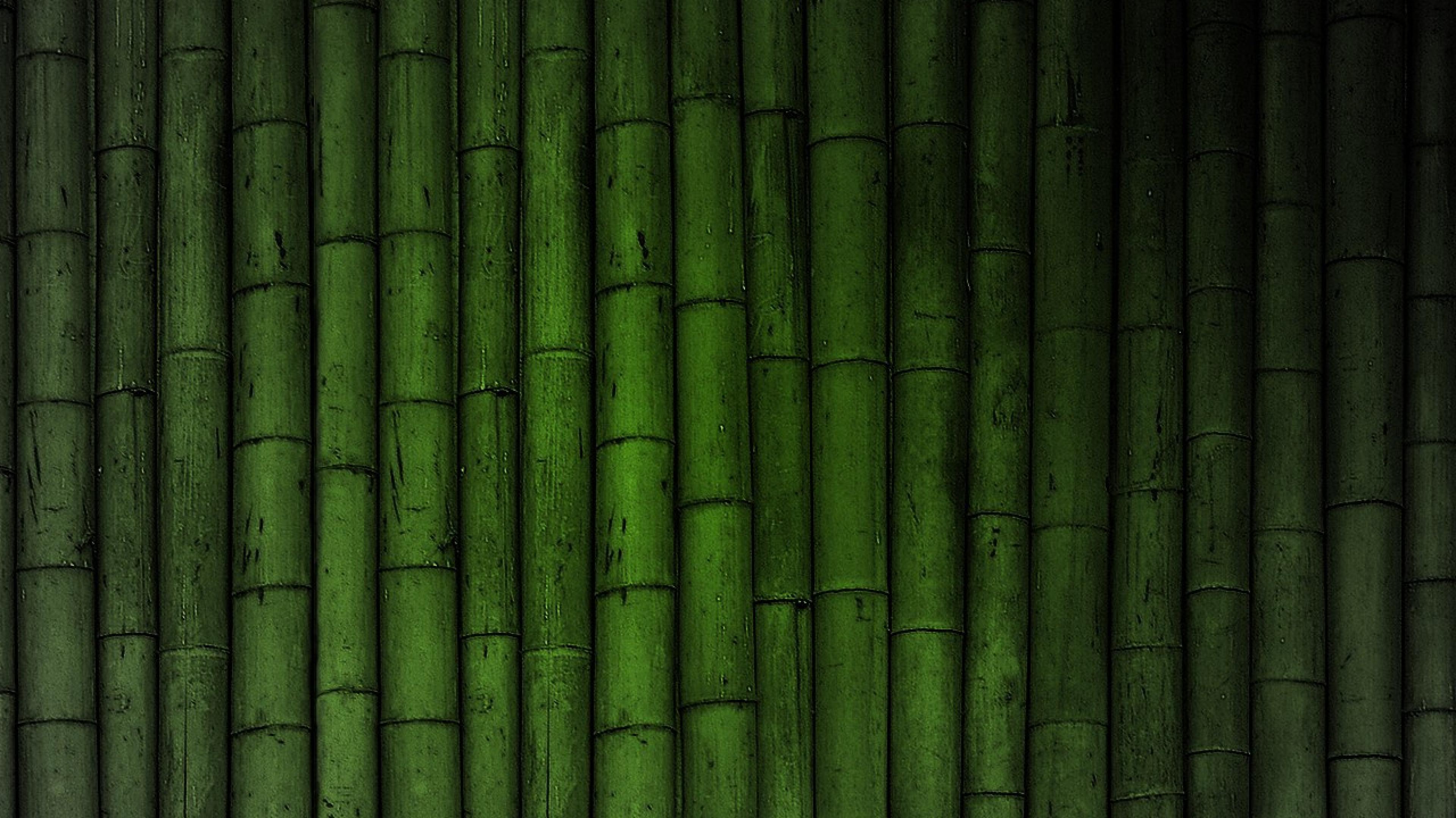 Bamboo Landscape Photography Background Green Bamboo Bamboo Forest  Scenery Bamboo Background Image And Wallpaper for Free Download