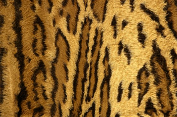 Jaguar leopard fantasy fabric fur texture