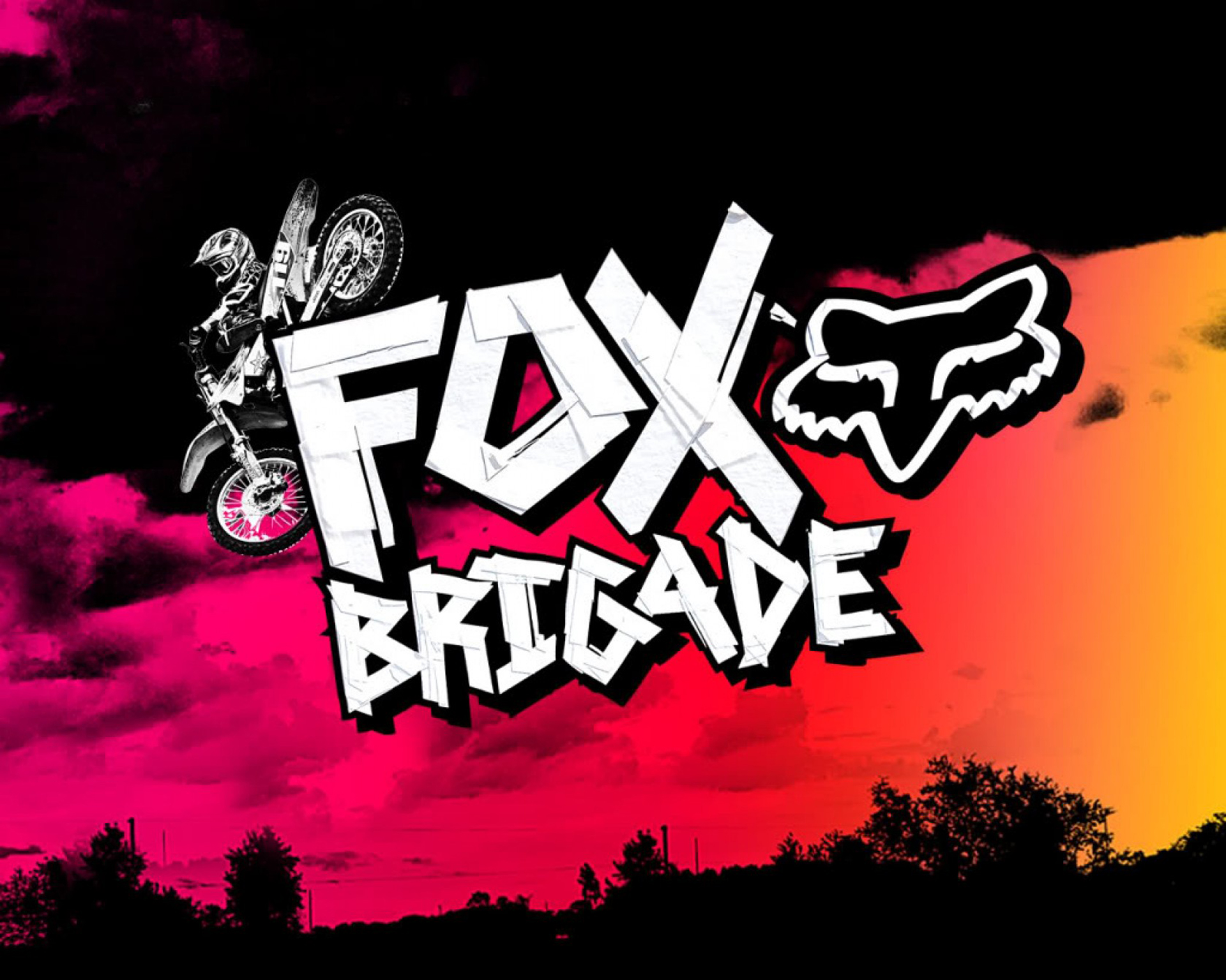 Fox Racing Fox Sticker Team Fox 