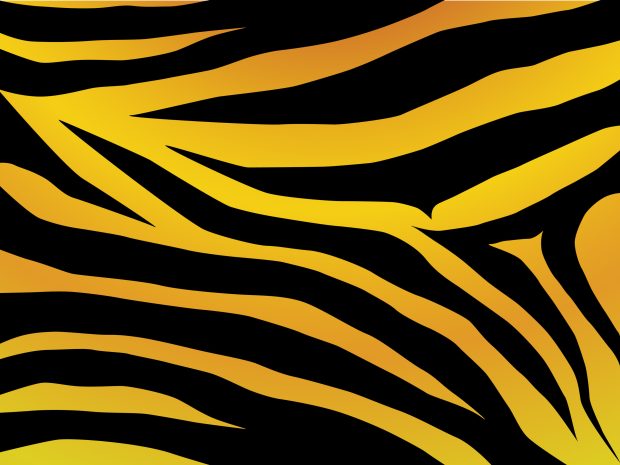 tiger design