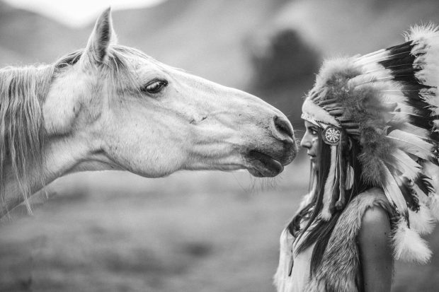 Native American Girl Horse Desktop Background