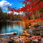 Desktop outstanding backgrounds fall hd download.