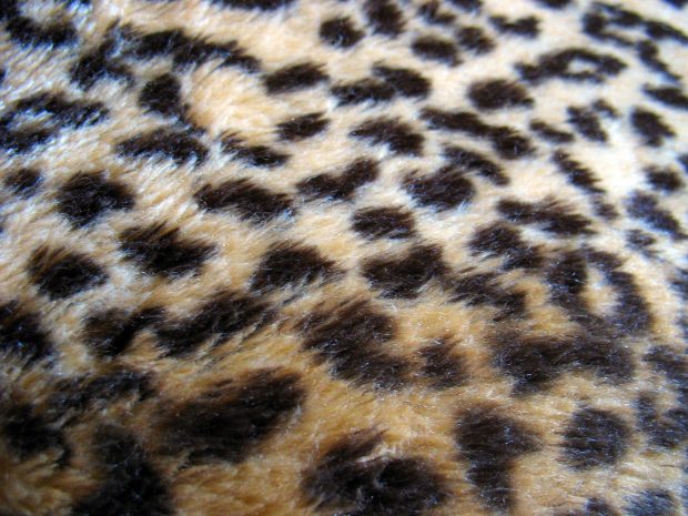 Leopard Print